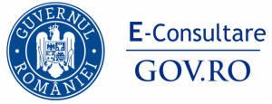 E-consultare
